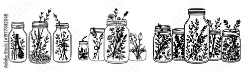 Jars set with whimsical line art design featuring dried herbs, herbal remedies, spices with apothecary and kitchen decor