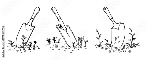 Garden hand trowel and seeds set with line art illustration on a white background featuring trowel, seeds, line art with white background and garden tools