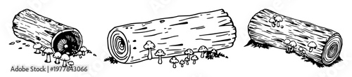 Hollow log and tiny mushrooms set with clean line art illustration on white background featuring insects, forest, fungi with wood and nature