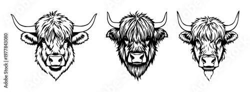 Highland cow head set with shaggy black line art on white background featuring highland cow, head, shaggy with black line art and white background