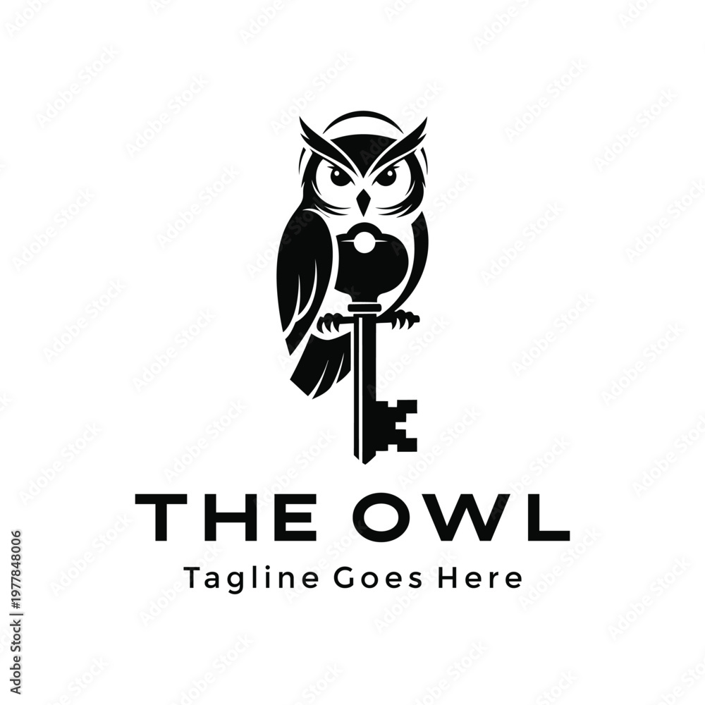 Fototapeta premium Black wise owl perched with antique old skeleton key for knowledge wisdom security mystery Logo Design