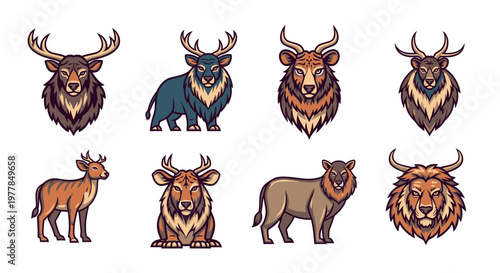 Collection of various bull animal heads.