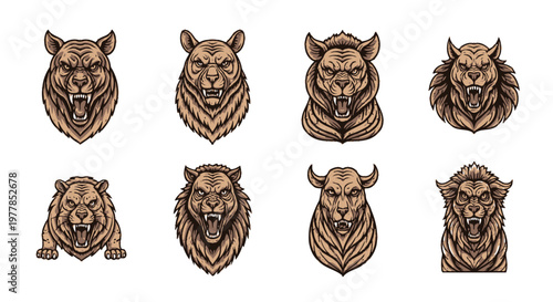 Collection of various lion heads.