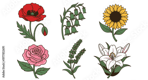 Colorful flowers on white background 1.