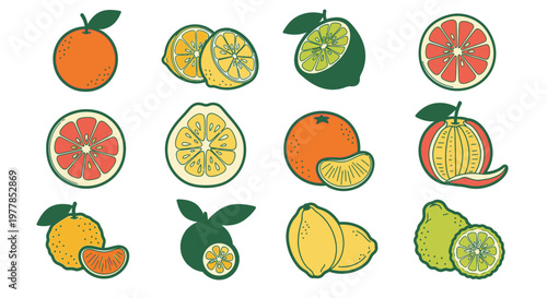 Variety of citrus fruits on display 1.
