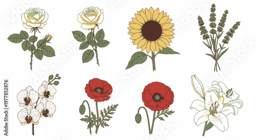 Variety of colorful flower types 1.