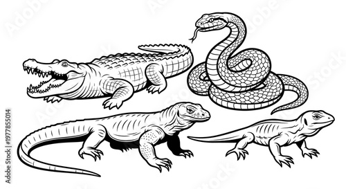 Reptiles crocodile and lizards and snake.