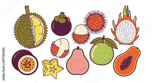 Variety of exotic tropical fruits.