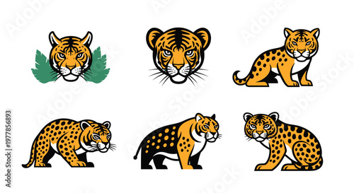 Collection of tiger animal illustrations.