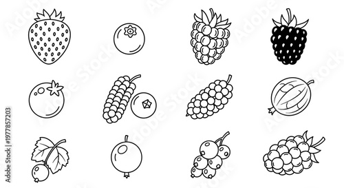 Variety of fruit icons on white.