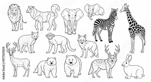 Collection of various wild animals line art 1.