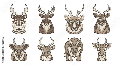 Deer heads with various antlers.