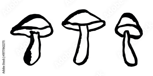 Hand drawn mushroom doodle set Botanical illustration Cute autumn mushroom Healthy eco food Organic vegetarian food For stickers, greeting card, design, print, packaging, decor, kids books