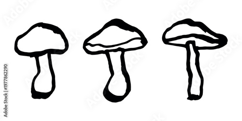 Hand drawn mushroom doodle set Botanical illustration Cute autumn mushroom Healthy eco food Organic vegetarian food For stickers, greeting card, design, print, packaging, decor, kids books