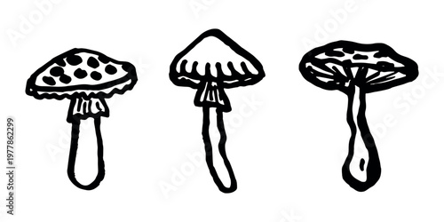 Hand drawn mushroom doodle set Botanical illustration Cute autumn mushroom Healthy eco food Organic vegetarian food For stickers, greeting card, design, print, packaging, decor, kids books