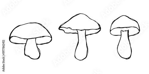 Hand drawn mushroom doodle set Botanical illustration Cute autumn mushroom Healthy eco food Organic vegetarian food For stickers, greeting card, design, print, packaging, decor, kids books