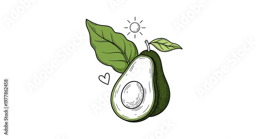 Fresh avocado with leaf on white background