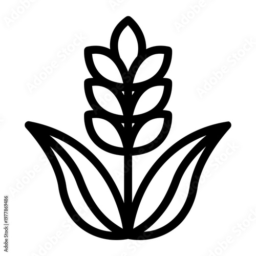 Organic wheat Line Icon
