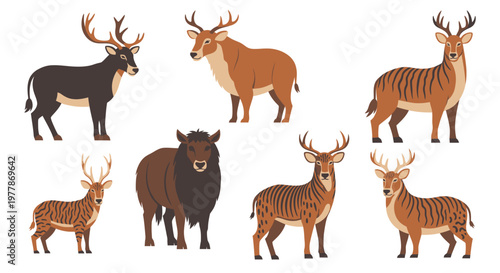 Deer and Antelope Wildlife Animals.