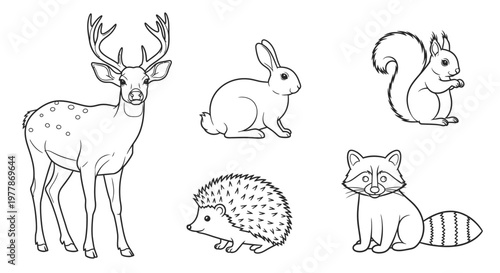 Deer Rabbit Squirrel Raccoon Hedgehog Animals.