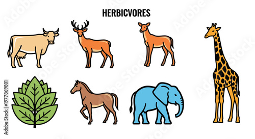 Herbivorous animals eating plants naturally.