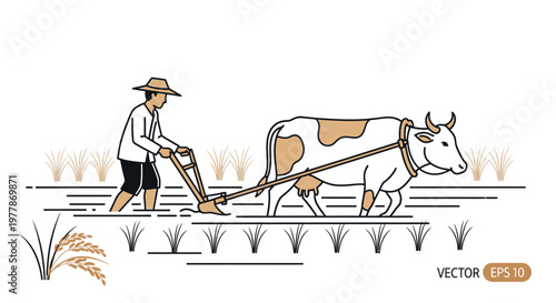 Man plowing field with oxen farm.