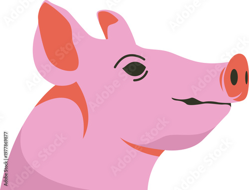 Zodiac Illustrtaion Icon Set