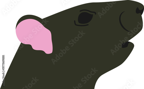 Zodiac Illustrtaion Icon Set