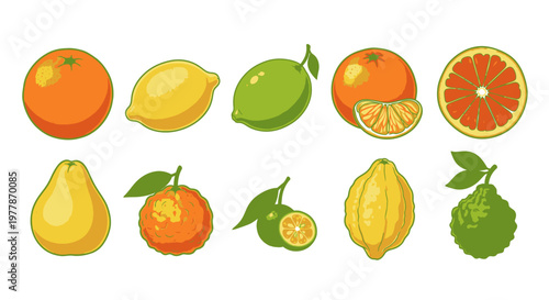 Variety of citrus and pear fruits.