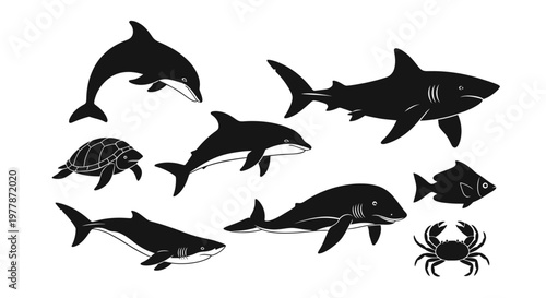 Sharks and fish vector illustration set