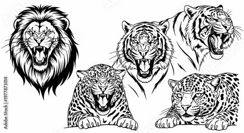 Four big cats with open mouths.