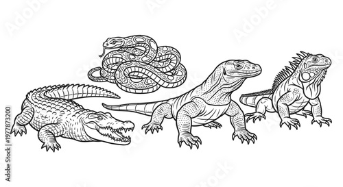 Reptiles including crocodile lizard and snake.