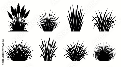 Grass Silhouette Vector Set Featuring Eight Unique Botanical Designs of Reeds, Cattails, and Pampas Grass for Nature Graphics and Minimalist Web Design Element