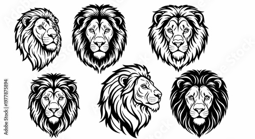 Black and white lion heads illustration.