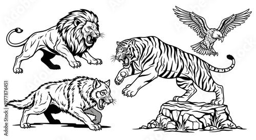 Lion tiger and eagle wild animals.