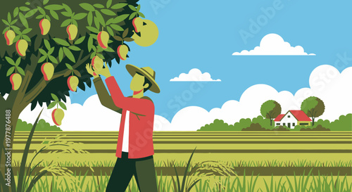Man picking fruit from tree branch.