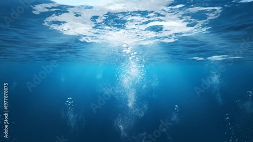 Underwater view of air bubbles rising to the ocean surface