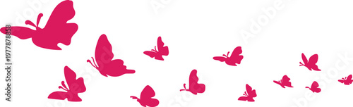 Large set of pink vector silhouettes of swarming butterflies, isolated on white background, colorful flying insect shapes for feminine decor.