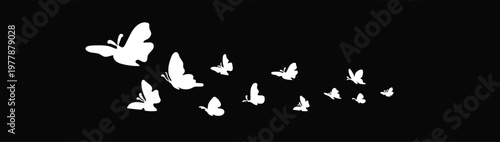 White vector silhouettes of flying butterflies swarm on black background, professional insect trail icons for dark mode design.