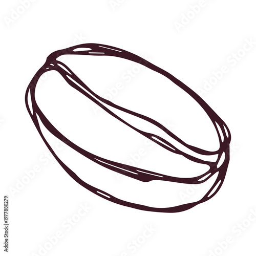 Hand drawn fresh roasted coffee bean Arabica robusta seed doodle Single element for print, web, design, decor