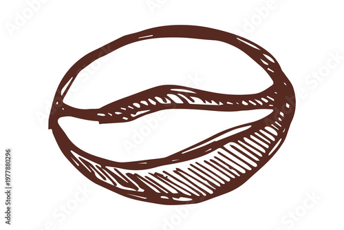 Hand drawn fresh roasted coffee bean Arabica robusta seed doodle Single element for print, web, design, decor