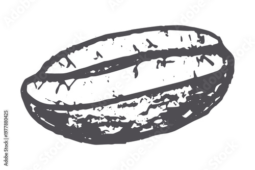 Hand drawn fresh roasted coffee bean Arabica robusta seed doodle Single element for print, web, design, decor