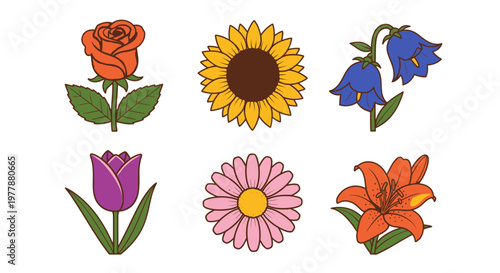 Colorful flowers in various types 1.