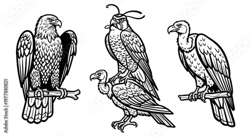 Group of birds on branches.