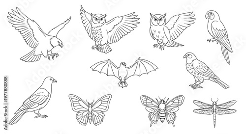 Insects and birds in flight together.