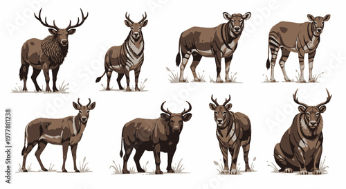 Variety of large brown wild mammals.