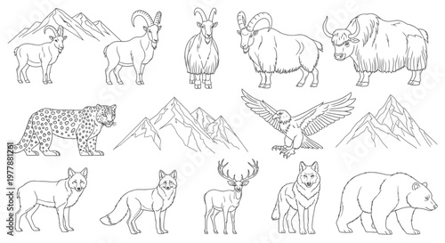 Variety of Wild Mountain Animals Lineart.