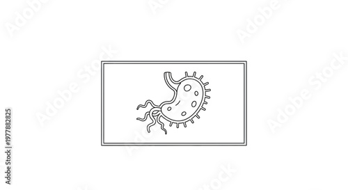 Microscopic Bacteria Cell Illustration with Flagella and Pili, Science and Health Concept