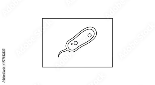 Microscopic Bacteria Cell with Flagellum, Scientific Illustration