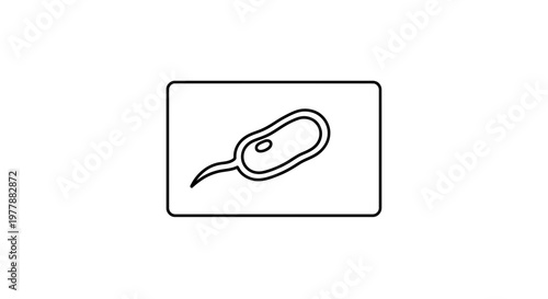 Microscopic View of a Single Bacterium with Flagellum, Scientific Illustration